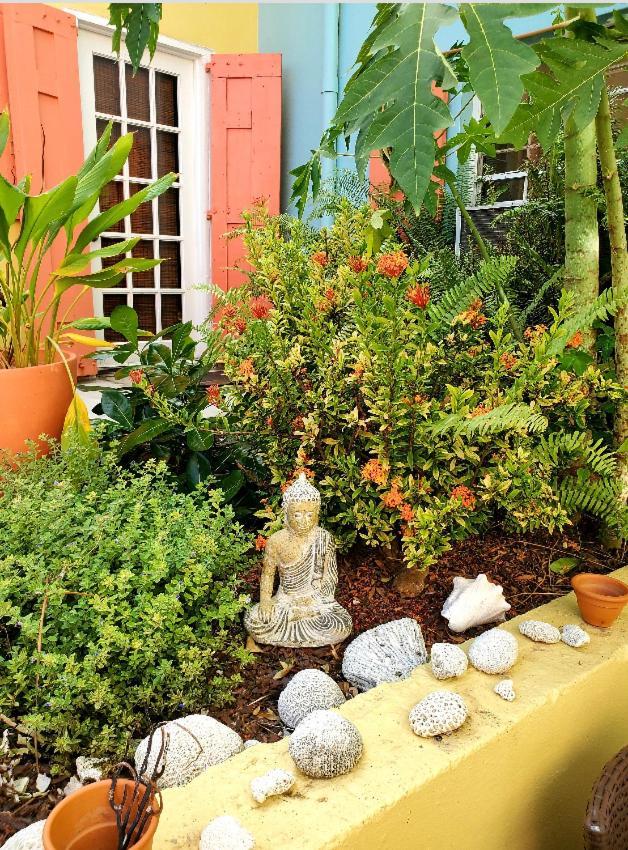 Crown Lotus Daire Christiansted Dış mekan fotoğraf